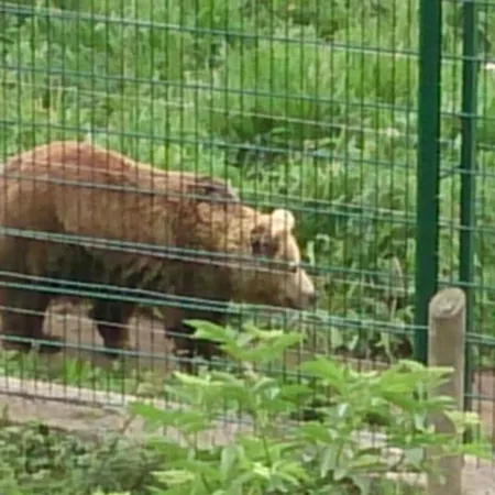 La Casona De Don Santos